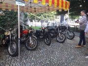 2019 - Bergamo Historic GP1 (2 giugno) (15/28)